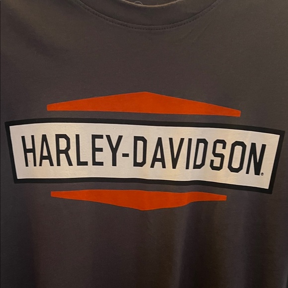 Harley-Davidson Grey and Orange Short Sleeve Tee Size Mesium - Picture 4 of 13